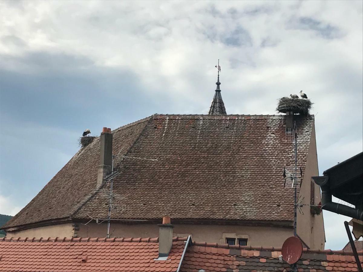 Gite "Smart'In" - Parking Offert Eguisheim Luaran gambar