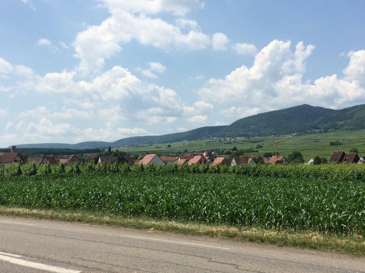 Gite "Smart'In" - Parking Offert Eguisheim Luaran gambar
